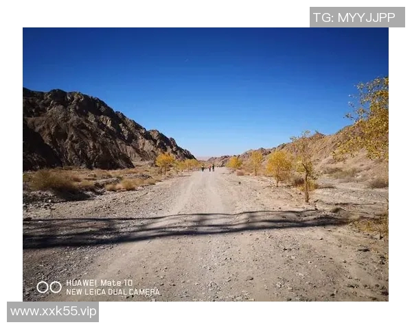 AG花花的精彩旅程与成长故事探索她的艺术与梦想之路