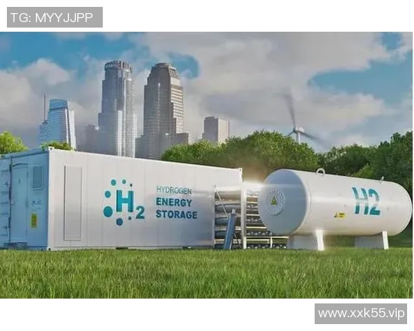 LNG引进Hang俱乐部助力绿色能源转型与可持续发展新机遇