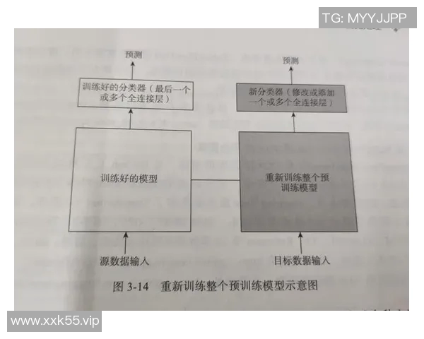 Poppy教练点评：深入分析运动员表现与训练策略的关键要素