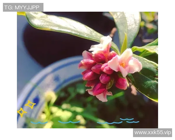 花花搜点：探索花卉世界的奇妙之旅与养护技巧分享